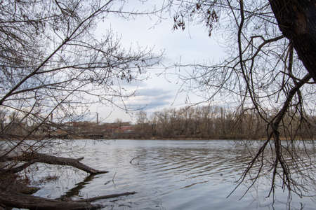 In early spring, on the banks of the river. A fallen tree lying in the water near the shore. Spring landscape with a fallen tree on the riverの写真素材
