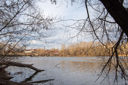 In early spring, on the banks of the river. A fallen tree lying in the water near the shore. Spring landscape with a fallen tree on the riverの写真素材