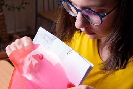 Portert of a beautiful girl folds scribbled sheets of paper in a pink, red folder, business concept, training.の写真素材