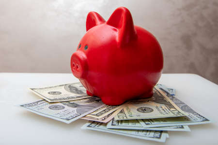 Red piggy bank is on dollars of different denominations. The concept of saving money.の写真素材