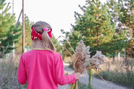 Rear view of a little girl in a pink blouse holding a bouquet of yellow stems in her hands, walking along the road. Blurred background. The idea of learning through environmental studiesの写真素材