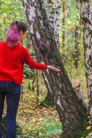Cute girl in a red sweater feeding a squirrel in autumn park.の写真素材