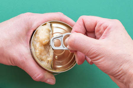 The hands of an adult open food for cats and dogs, on a green background. Top view, copy space. Close-up.の写真素材