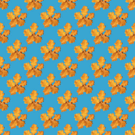 Seamless pattern of yellow autumn oak leaves on a blue background, copy space. Can be used as a natural background, autumn print on fabric, wrapping paper, postcardの写真素材