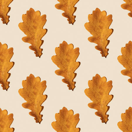 Seamless pattern of yellow autumn oak leaves on a light orange background. Can be used as a natural background, autumn print on fabric, wrapping paper, postcardの写真素材