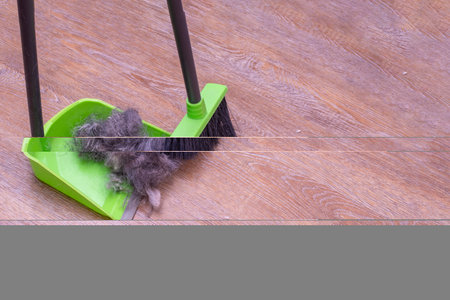 Home cleaning concept. Close-up of cleaning garbage, pet hair with a green brush and scoop from the...