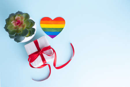 Gift box with a red ribbon, a home flower in a pot and a paper rainbow heart on a gentle blue...