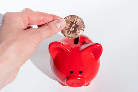 Cryptocurrency savings concept. A hand holds a bitcoin coin over a red piggy bank on a white...