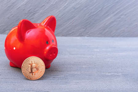Bitcoin coin and red piggy bank on a gray background, close-up, copy space. Cryptocurrency saving concept. New virtual electronic and digital moneyの写真素材