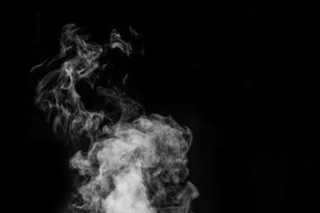 Figured smoke in the form of a mystical creature in the form of a ghost on a dark background....