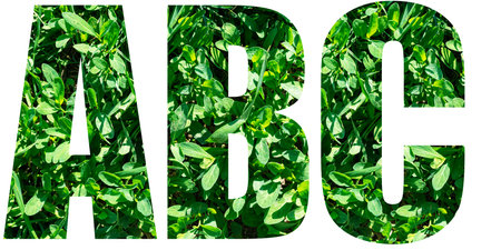 English alphabet letters set. Letters A B C from green grass isolated on white background. Elements for your designの写真素材