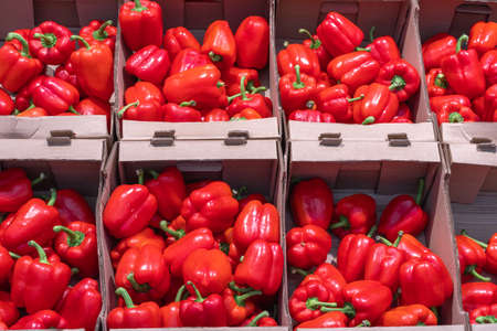 Large red bell peppers lying in cardboard boxes in a store. Collection and sale of ripe vegetables. Healthy dietary products concept. Healthy food conceptの写真素材