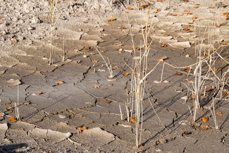 Drought land without water texture. Global water scarcity on the planet. Global warming and...