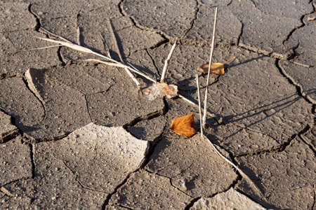 Drought land without water texture. Global water scarcity on the planet. Drought, wheat harvest...