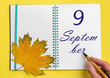 Hand writing the date 9 september in an open notebook with a beautiful natural maple leaf on a yellow background.の写真素材