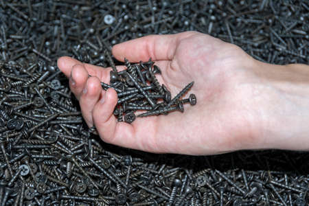Hand holding various black metal screws, top view, close-up. The choice of screws in the store. Renovation concept.の写真素材