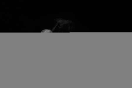 Close up of steam smoke on black background. White hot curly steam smoke isolated on black backgroundの写真素材