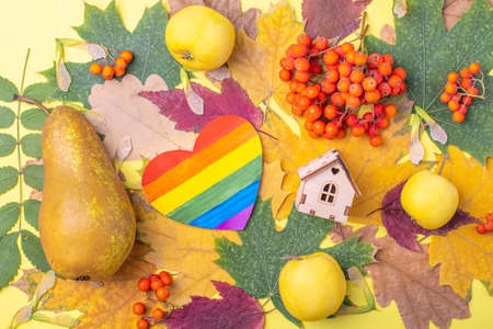 Paper rainbow heart LGBT symbol and wooden house symbol of family on multi-colored leaves and orange rowanの写真素材