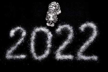 Happy New Year 2022. Chinese New Year 2022. Toy tiger and the date 2022 is written with salt like snow, isolated on a black backgroundの写真素材