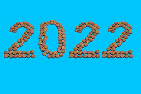 Happy new year for pets. Date 2022 compiled of dry food for dogs or cats on blue background. Taking...