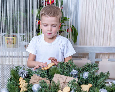 Cute Caucasian boy puts Santas cookies, gifts and gingerbread into Christmas twigs decorated with balls.の写真素材