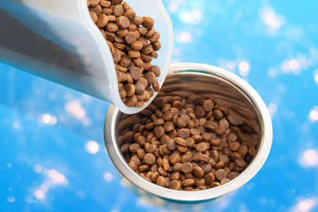 A hand holds a container and puts dry animal food in a round metal bowl on a blue background with...