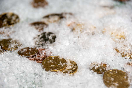 Gold coins covered with snow, close-up, selective focus. Success concept. Savings concept. Wealth concept in the new yearの写真素材