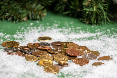Gold coins lying on the snow against the background of green spruce branches, close-up, selective focus.の写真素材