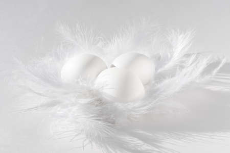 White eggs in a white soft and tender feather nest, monochrome, close-up. Three white Easter eggs...