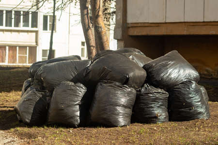 Plastic trash bags on curb outside city building. The concept of garbage collection, ecology,...