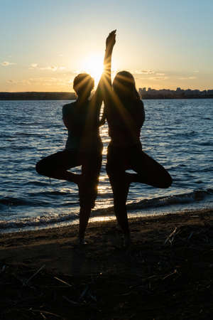 Silhouette of two women in sportswear, standing in yoga pose Vrikshasana, tree pose and holding hands on the shore of the lake, sea. Meditation. Yoga in the park. Summer sportsの写真素材