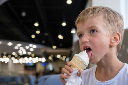 Portrait of a small hungry funny boy eating cold delicious ice cream in a waffle cup sitting in a...
