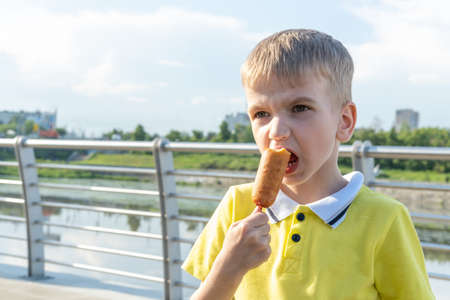Hungry kid eating street food on the beach in summer. A little emotional boy eating fried sausages on a stick. Happy kids eating fast food. Fast high-calorie street junk food.の写真素材