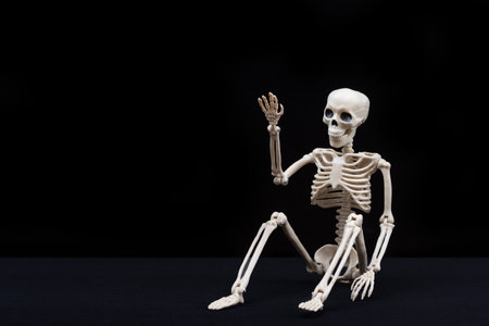A fake human skeleton sitting on a black background and pointing with his hands at an empty space. Halloween Greeting Cardの写真素材