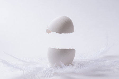 Cracked white natural Easter egg in feathers on a light background, copy space. Levitation of half of a cracked eggshell. Creative Easter conceptの写真素材