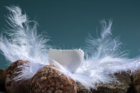 Half white natural Easter egg in white feathers on a blue background with stones, copyspace....