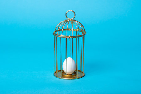 A cage with an egg inside on a blue background. The concept of slavery from birth. The concept of the future. Concept of psychology, emotions, inner world, feelings. Surreal karma conceptの写真素材