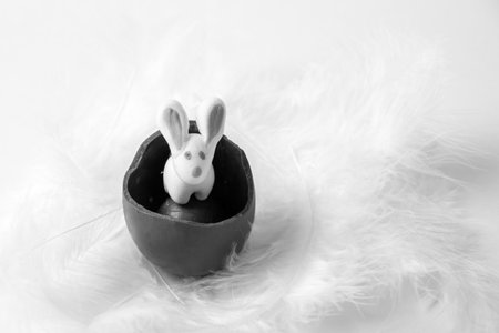 White Easter Bunny in a cracked chocolate egg in a white soft feather nest, black and white. Sweet...