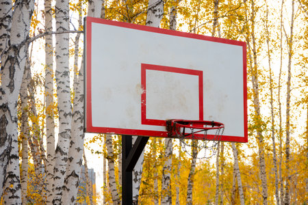outdoor sports ground. White Basketball Shield with a red ring in the backyard. Home yard with...