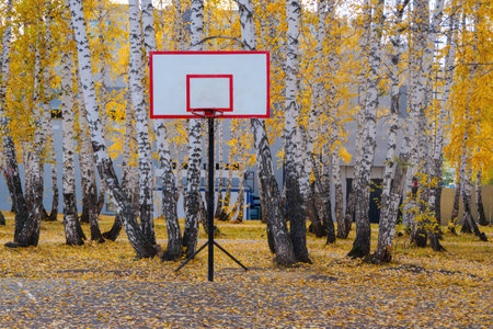 outdoor sports ground. White Basketball Shield with a red ring in the backyard. Home yard with basketball court. Active healthy games. beautiful autumn landscape.の写真素材