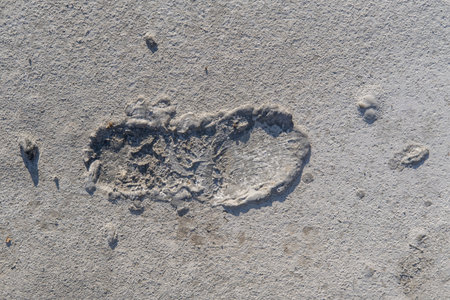 The footprint of a shoe on a gray background of cracked cement interspersed with grains of sand, streaks. Original building background for your photosの写真素材