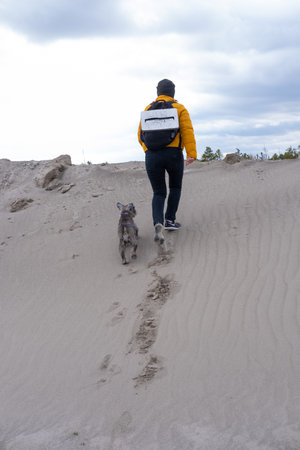 A traveler with a dog walking on the sand, climbing uphill, rear view. healthy lifestyle. Hiking...