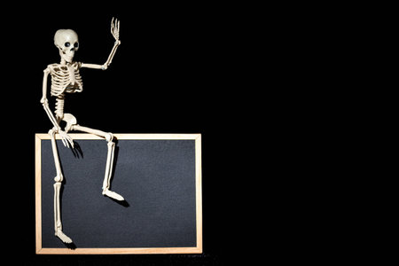 Funny human skeleton sitting on an empty black flipchart on a black background, copy space, mockup.