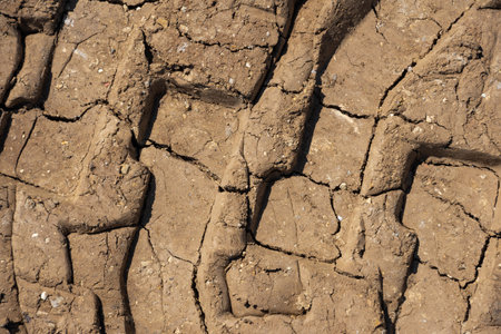 Tire tracks print on dirty red soil. Wheel marks of truck on soil texture background. Tire track on...