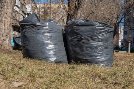 Two black bags with garbage, old fallen leaves, branches on the ground. Spring cleaning. City street...
