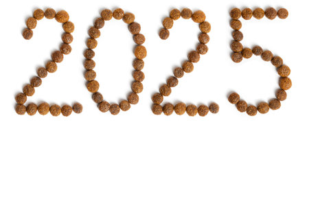 Calendar 2025 from Dry pet food on a white background. Granules of good nutrition for dogs and cats....