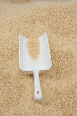 White plastic scoop filled with raw rice grains placed on a background of rice, concept of food and agricultureの写真素材