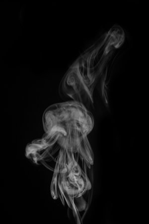 White smoke swirls in abstract form, photography style on black background. Concept of mystery and creativity. Swirling, writhing smoke to overlay on your photos.の写真素材
