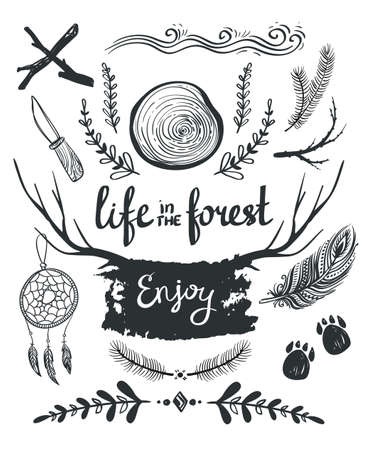 Set of design elements and clip art themed around  life in the forest.のイラスト素材