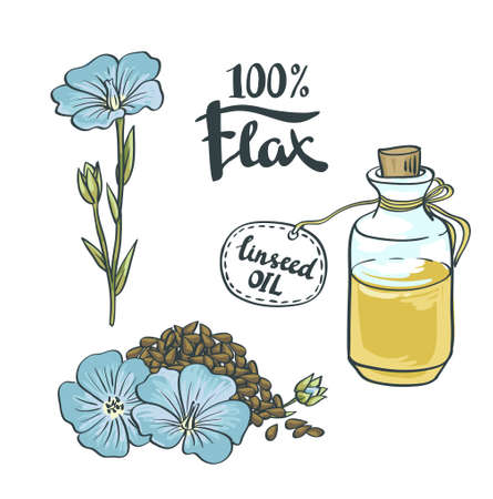 Flax Seeds Oil in a Glass Bottle with flowers. Vector Illustrationのイラスト素材
